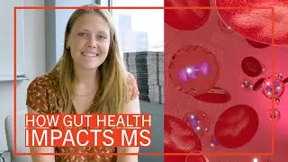 How Gut Health Impacts MS | Dissertation in One Minute