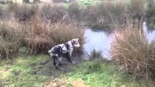Jack water fun #1