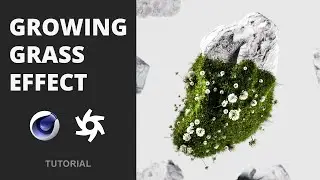 GROWING GRASS EFFECT / C4D