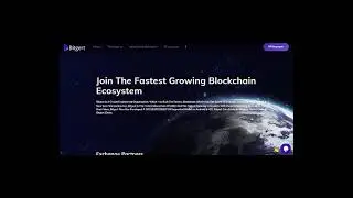 FUTURE COIN: All Time High Coin: Bitgert (BRISE)