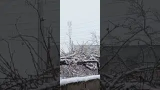 НАСТУПИЛА ЗИМА