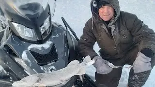Глухозимье на Ямале 2024 г.Щука как всегда не подвела!