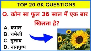 Hindi Gk || General Knowledge || Gk Questions And Answers || Gk Quiz || M study bank ||