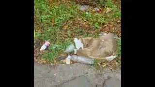 Мусор в Волжском
