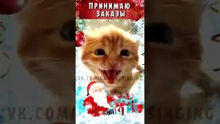 Котенок спел Новогоднюю песню short#