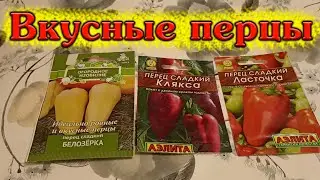 Вкусные перцы в технической спелости