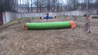 Айва
