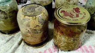 Замоталась. Приготовила тушёнку.