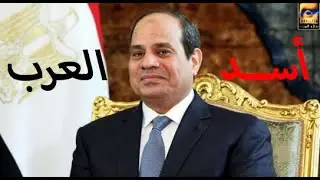Men3em Asd El 3rab ( NEW )  || منعم آسد العرب ( جديد )2021
