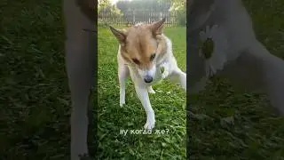 Но когда я буду счастлив?🙂 