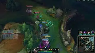 the camille incident