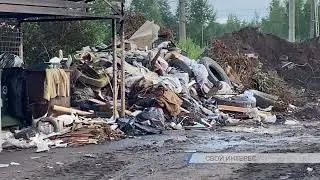 Свой интерес