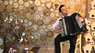 Баянист - Одинокая ветка сирени