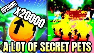 Opening x20000 Rebirth Eggs in Pet Catchers (Roblox)