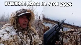 Весенняя охота на уток 2024! Один в тайге
