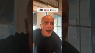 Why can a fly enter my home easily, but not escape as easily? #deaf #asl #signlanguage #fly