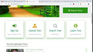 #15 Tree Sharing Laravel Bangla Video Tutorials -  Checkout Order - Store Order in Database