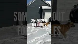 ❄️WHY we keep ourselves healthy!❄️