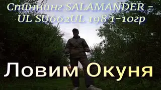 ХВОЩУ ОКУНЕЙ на новый Спининг
