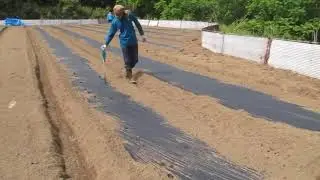 Выжигание дырок в пленке