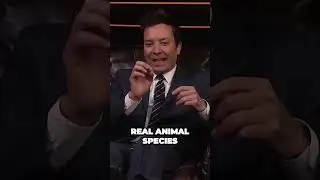 Keanu Reeves Play Adorable Pup Quiz Game | The Tonight Show!