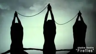 Театр теней/Свадебное агентство MARY