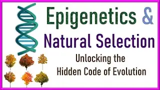 Epigenetics and Natural Selection | Unlocking the hidden code of Evolution