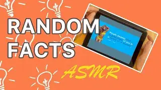 💡 Random Facts - soft-spoken relaxing ASMR lofi