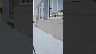 27 февраля 2024 г.