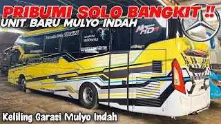 PRIBUMI SOLO BANGKIT 🔥🔥 [Bis Terbaru Mulyo Indah ]