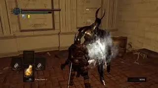 Dark Souls Caestus run Finale