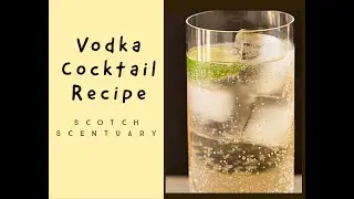 Desi Vodka cocktail Recipe |Absolut |Smirnoff |Magic Moments |