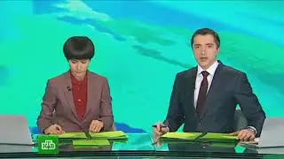 Норильск 04.12.2014.Нагремевшая история о жестокости человека к животным.Реальное видео. Последствия