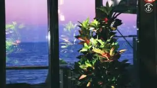 Команда и семья @harbor_bar