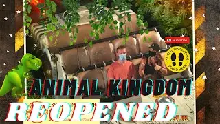 Disney's Animal Kingdom has REOPENED (& EPCOT Cast Preview) | WDW 2020