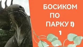 Лосиный остров!) БОСИКОМ ))) Отдых с детьми !)