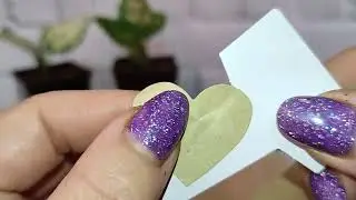 Супер распаковка с растениями!