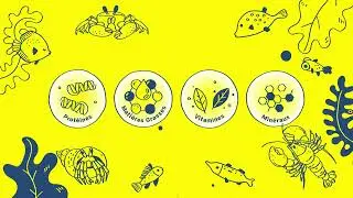 Tetra NutriEvolution: La meilleure alimentation pour des poissons en