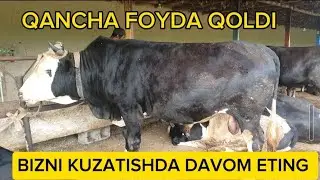 FOYDA  QANDAY BO'LADI