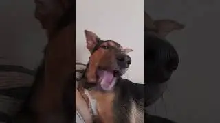 едим зелёный перчик