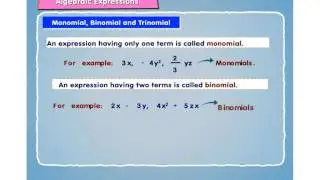 Monomial, Binomial and Trinomial