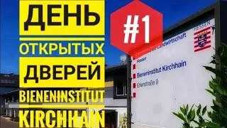 Part 1 of the Kirchhain Beekeeping Institute (Germany): breeding first-class queens of the Carnic...