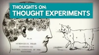 Thoughts about Thought Experiments