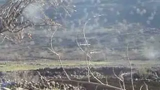 Grup Devran-Deyme Tabib Sızlıyor MahKanLı by gundi