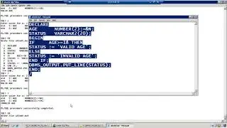 How to work with Conditional Statements in PLSQL