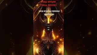 Феникс 🍀Формула обновления отношений🍀bastiliya.com 