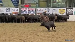 $25,000 Novice Non-Pro Finals Denver Nationals