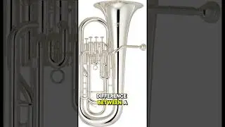 Baritone vs Euphonium: What’s the REAL Difference? 