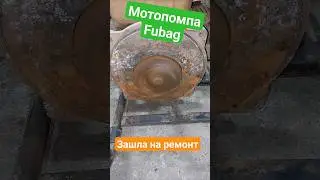 Мотопомпа Fubag, зашла на ремонт 💥👍✌️ 