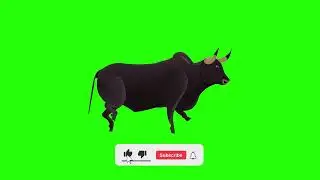 Green Screen 2D Bull Walk Animation || No Copyright || Free to use